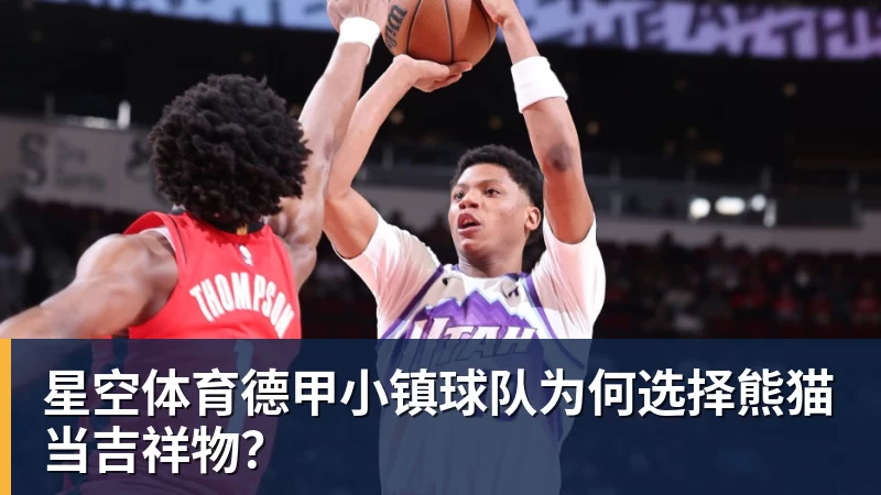 星空体育德甲小镇球队为何选择熊猫当吉祥物?