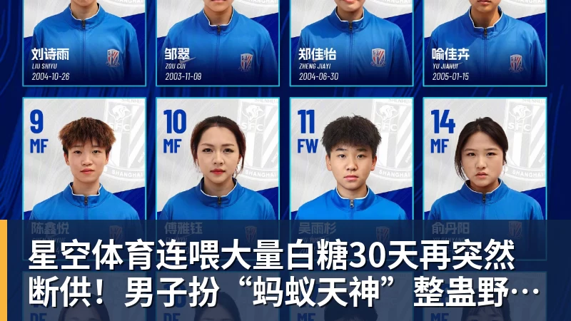 星空体育连喂大量白糖30天再突然断供！男子扮“蚂蚁天神”整蛊野生蚁群